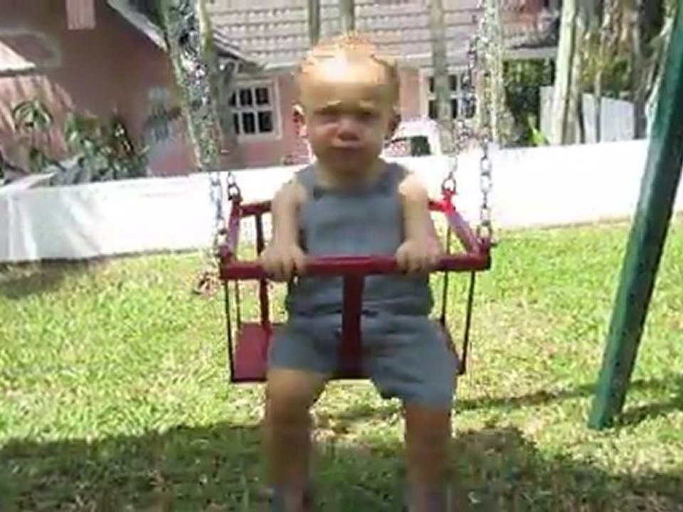 quelques bruits d animaux