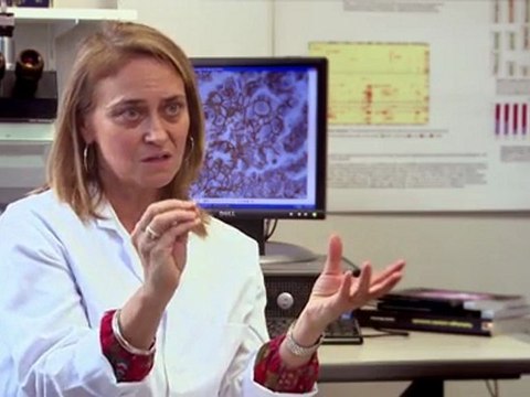 « Recherche sur les cancers : tout s’accélère»