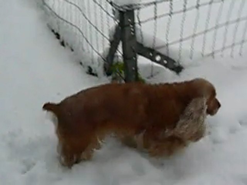 tania et atthis !!P1110328