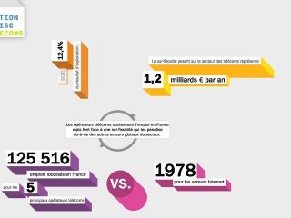 L'économie des télécoms : première étude économique pour la FFTélécoms (2011)