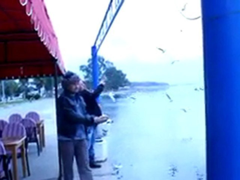 Martıların Dansı Köyceğiz tuana resturant