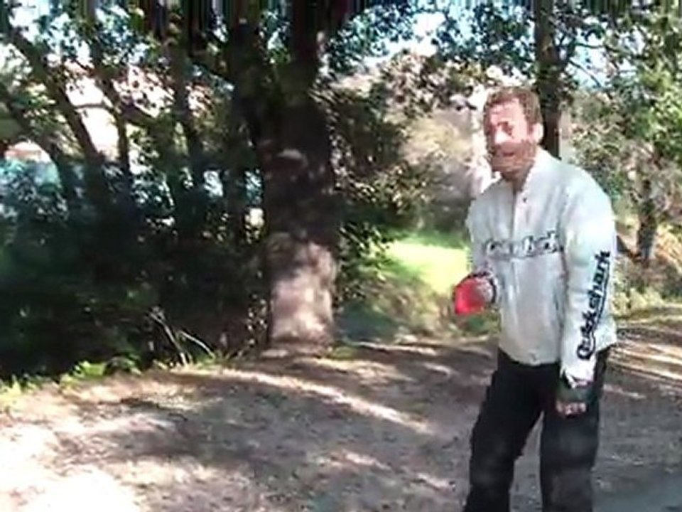 Les Bouledogues aussi peuvent faire chiens de traineau !!