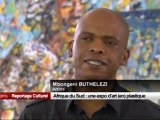 Afrique du Sud, une expo d'art (en) plastique