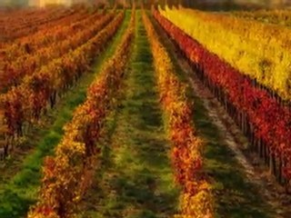 Octobre  Francis Cabrel