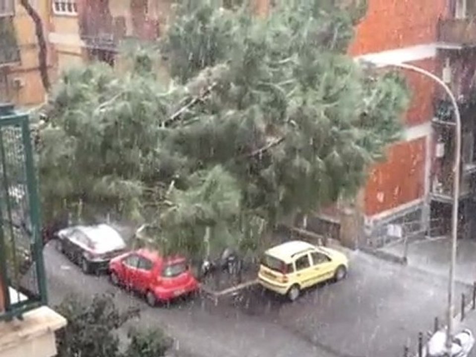 COME NEVICA
