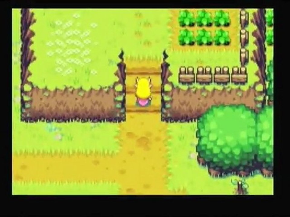 ZELDAgemei2