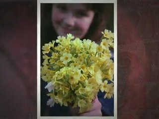 Poodles in Paris Bedroom Set