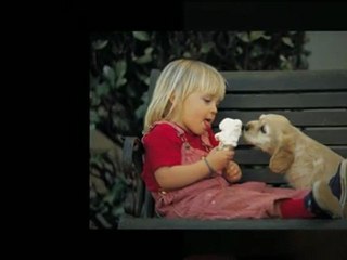 Princess Carriage Toddler Bed