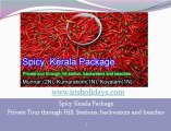 Kerala Honeymoon Packages