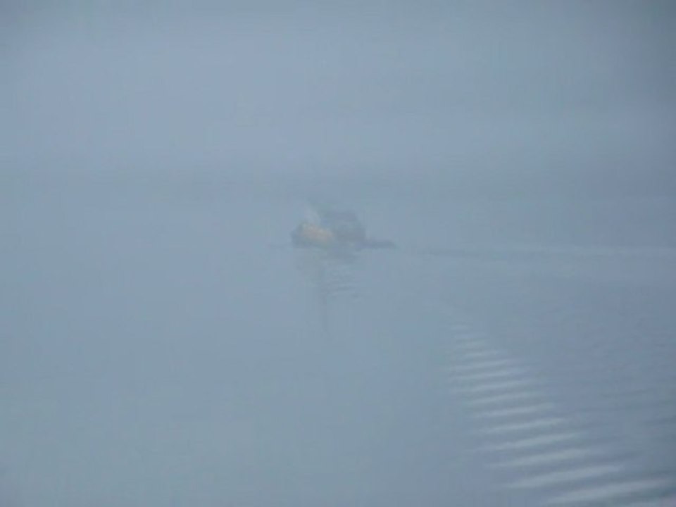 CRUISE (JUNEAU)-2010.04 006