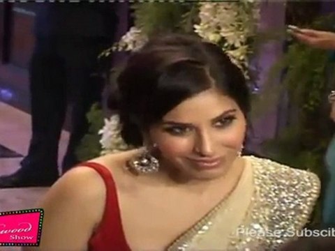 Hot Sophiya Chaudhary Looks Too Sexy In Saree At Genelia D'Souza & Ritesh Deshmukh Sangeet Ceremony