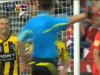 Adelaide 1-2 Wellington - Australia, G19