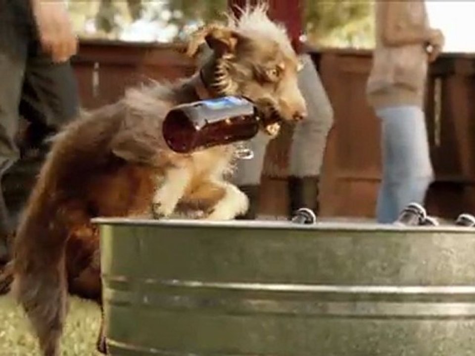 Bud Light: Rescue Dog