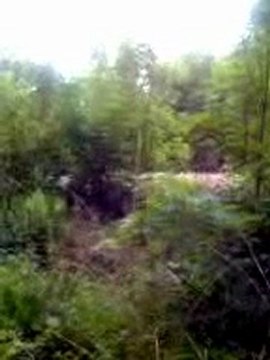 train UM BB66000 + wagons tremies le 15.05.2008