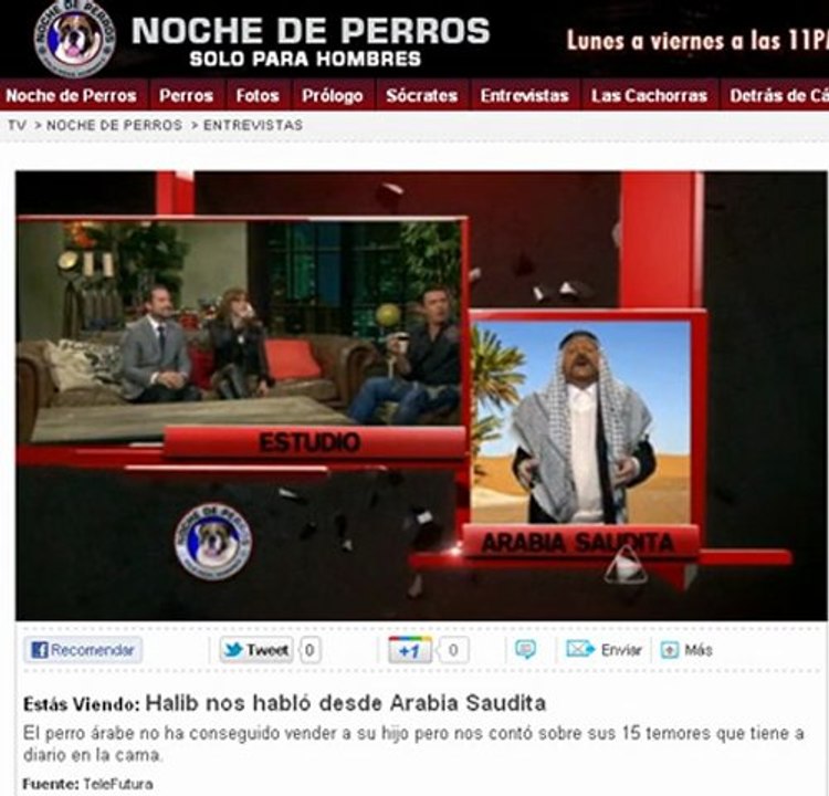 Noche de perros - Halib desde Arabia Saudita - Orlando Urdaneta