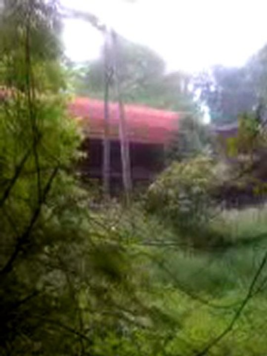 train fret BB 66000 UM + wagons tremies le 02.06.2008