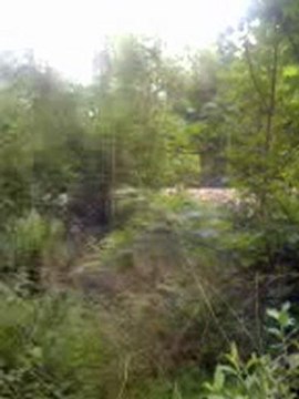 Train voyageur BB 67400 + ter le 15.05.2008