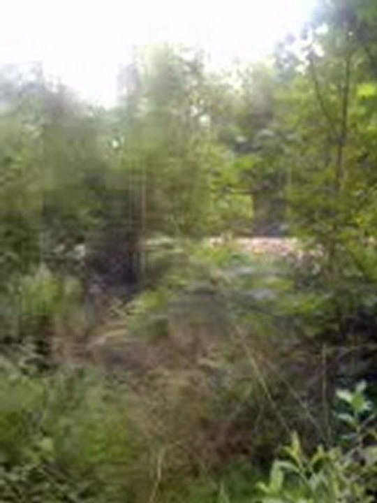 Train voyageur BB 67400 + ter le 15.05.2008