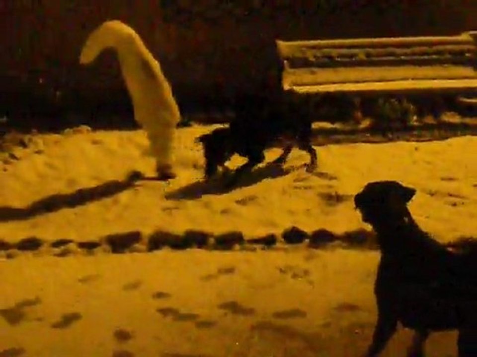 Première neige