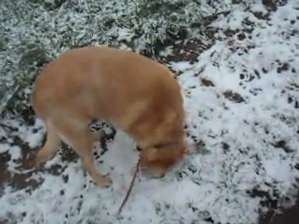 Fiby - 31 janvier 2012