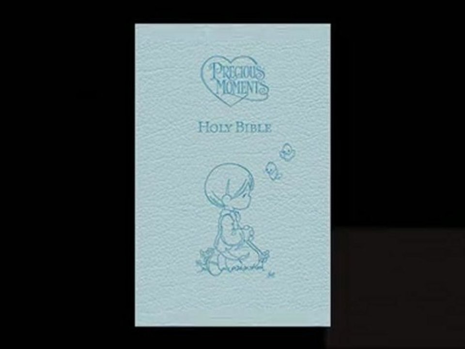 Children's Bibles