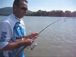 Le pêcheur urbain:Pêche à la carpe