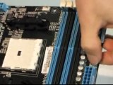ASUS F1A75-M Pro AMD A75 Socket FM1 Crossfire Motherboard Unboxing & First Look Linus Tech Tips