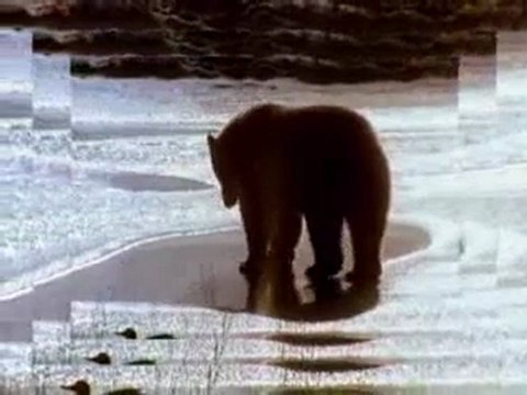 Первый блин - КомАм!