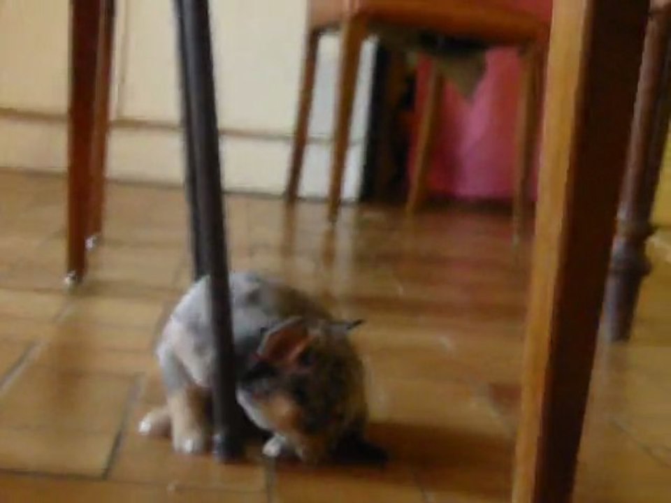 Nos bébés 2