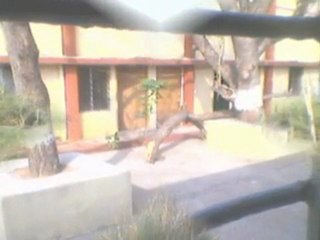 Cyclone thane cuddalorer-cuddalore to parntui railway journey 03 02 12 photos