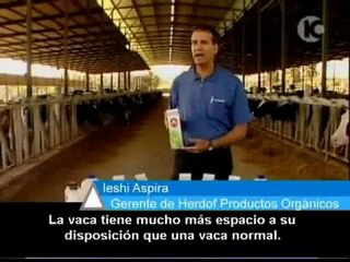 Sorpresas lácteas en las góndolas