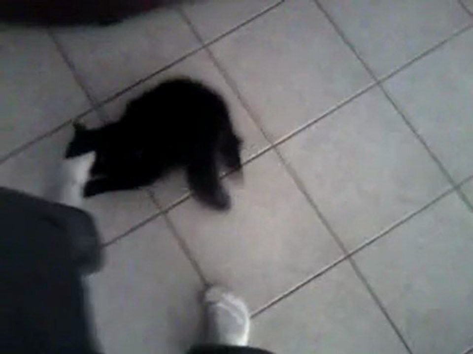 SWIFFER CHAT