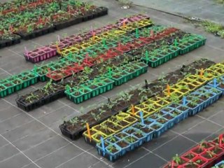 Découverte des Jardins de Tomates : Projet Innovant à Landiras en Gironde 🌱