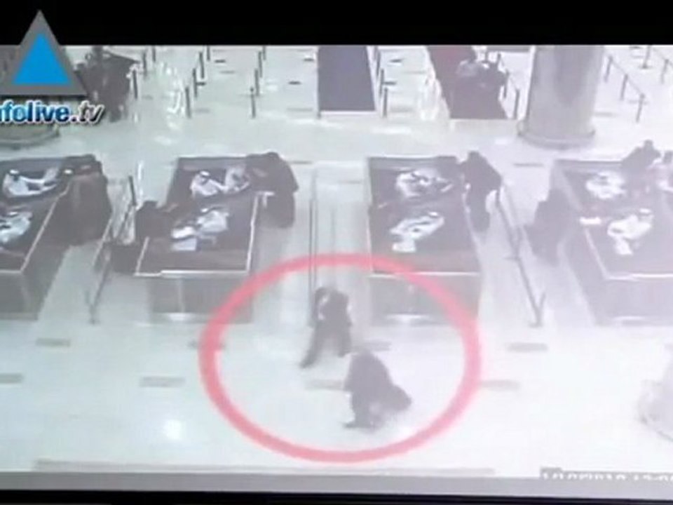 Wikileaks revelará documentos ultra secretos sobre Israel