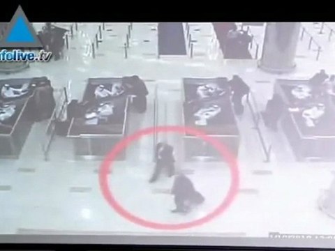 Wikileaks revelará documentos ultra secretos sobre Israel