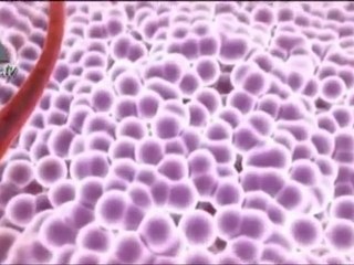 Israel puede ofrecer mejor tratamiento a los enfermos de cáncer en el mundo