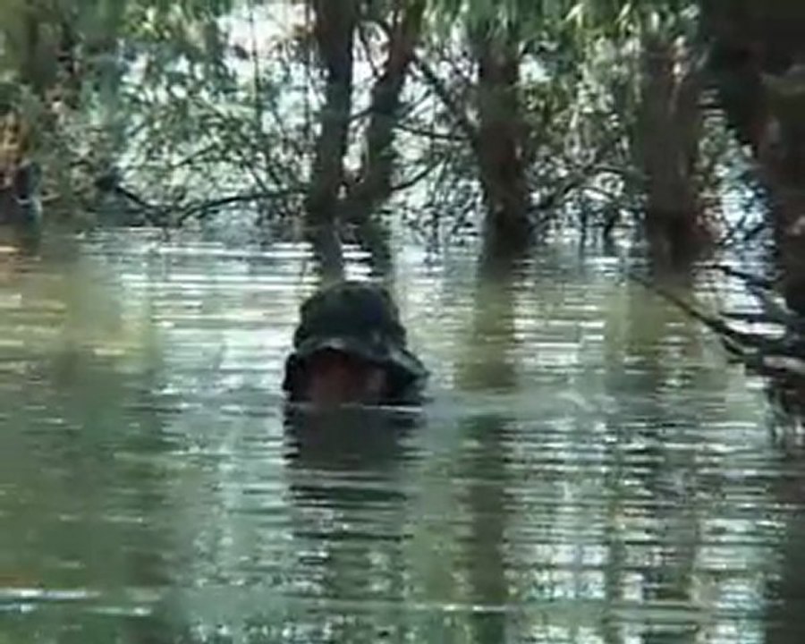 Fortele Speciale Alfa 2 si 3 in actiune