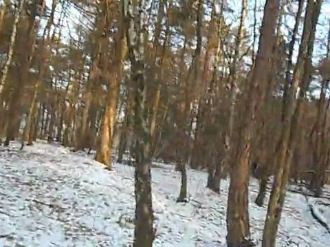 Airsoft Team LDD Bourg en bresse (AIN)