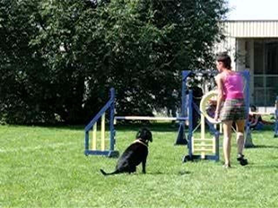 agility 3