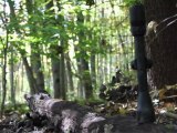 F&S Tests Deer Hunting Scopes for Under $100