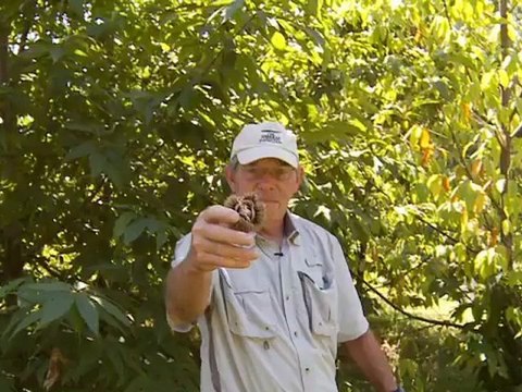 Heroes of Conservation 2011: Gala