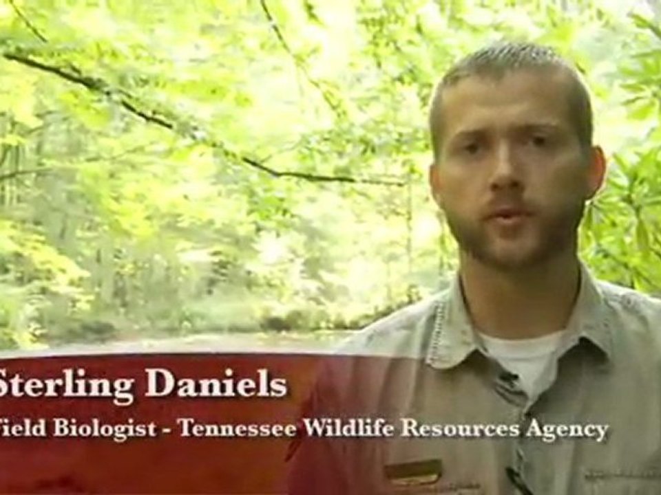 Heroes of Conservation 2011: Public-land Defender