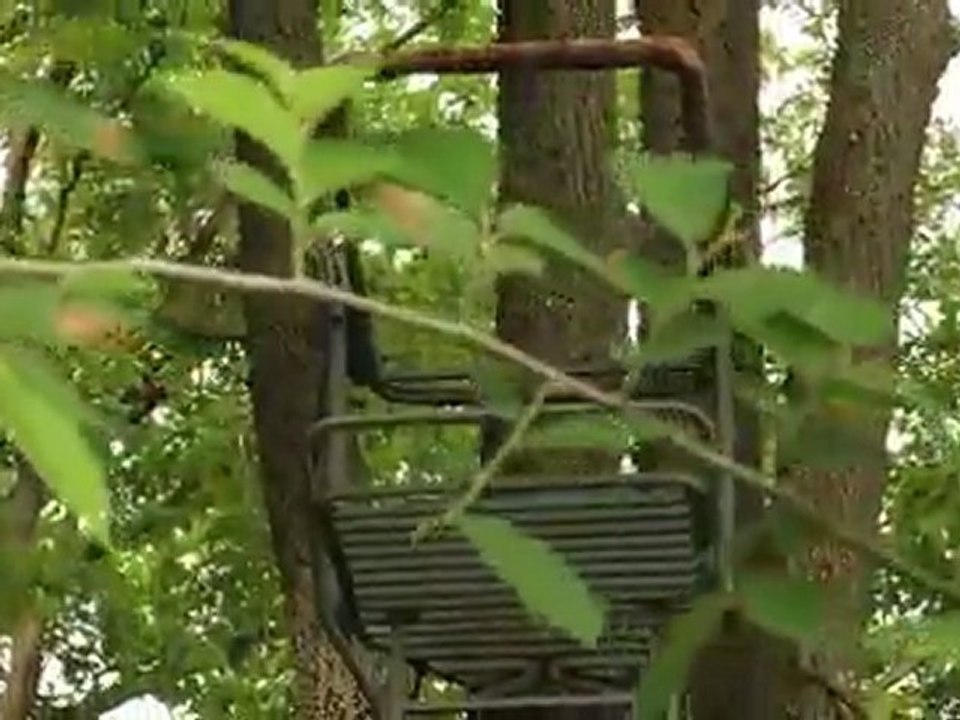 Rut Report: After Three Unproductive Sits, Move Your Stand!