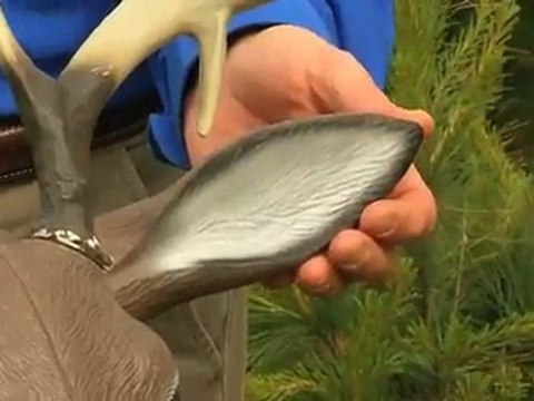 Rut Report: Read Body Language For Better Deer Calling