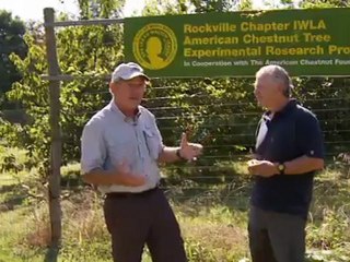 Episode 5: The Forest Rehabilitator