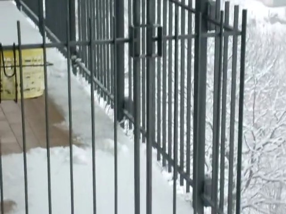 nevicata corta e amara