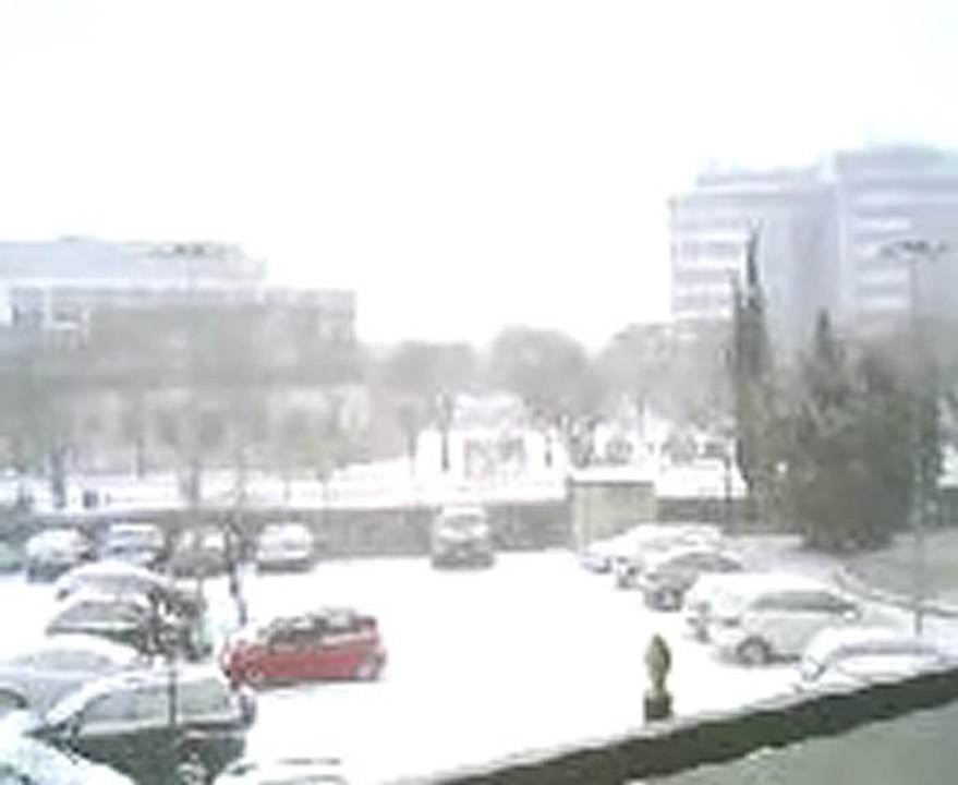 Neve flaminio