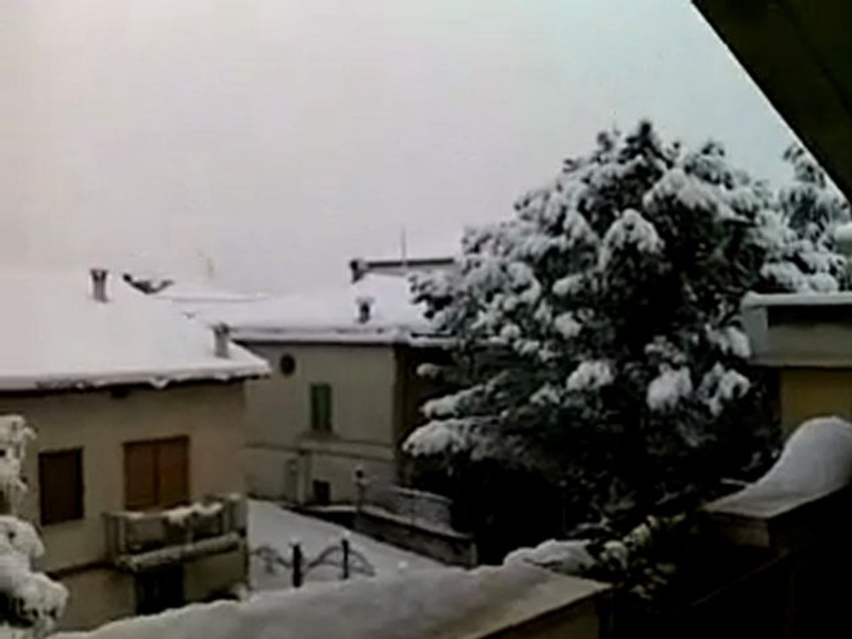 Neve