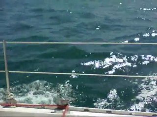 Voilier Aquila en baie d'Hendaye