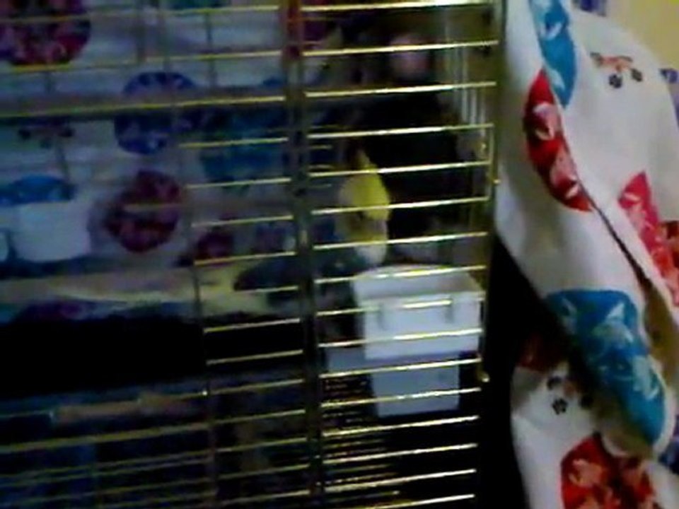 VID 00032-20120204-2145